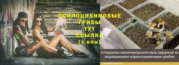 прущая мука Струнино