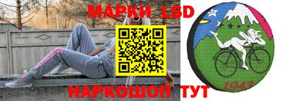 гашик Аргун