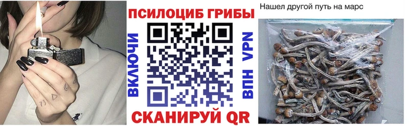 Галлюциногенные грибы Cubensis  darknet клад  Ульяновск  как найти закладки  MEGA ONION 