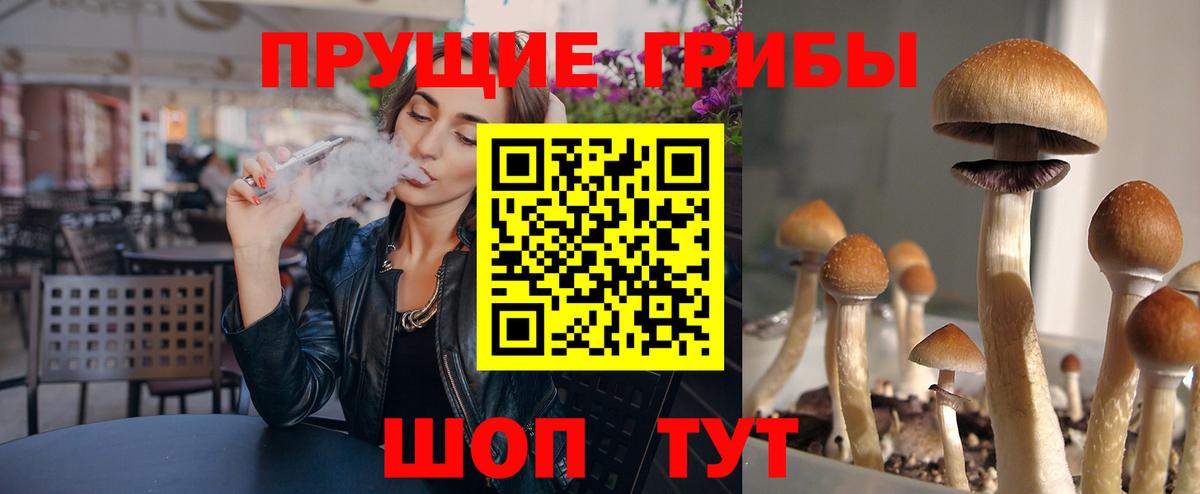 купить   Галлюциногенные грибы Magic Shrooms  Галлюциногенные грибы прущие грибы  Вход с VPN  Ульяновск 